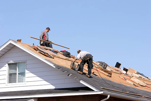 Best Chimney Flashing Repair  in Silver Bay, MN