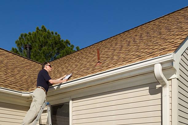 Best Roof Moss and Algae Removal  in Silver Bay, MN